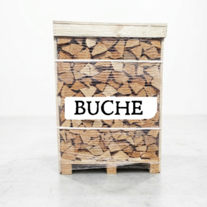 Bois de chauffage de hêtre sur palette 25 cm séché au four 1 m³