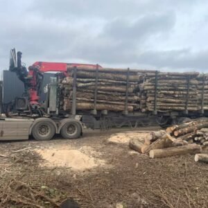 Camion de 60 stères – Grumes de hêtre, chêne et charme