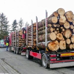 Châtaignier en grume – Camion de 50 stères