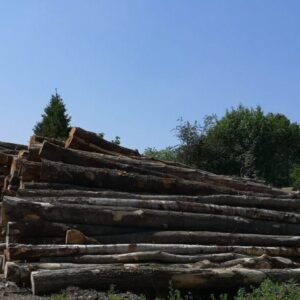 Camion de 20 stères – Grumes de hêtre, chêne et charme