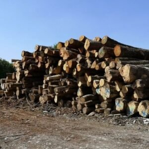 Camion de 20 stères – Grumes de hêtre, chêne et charme