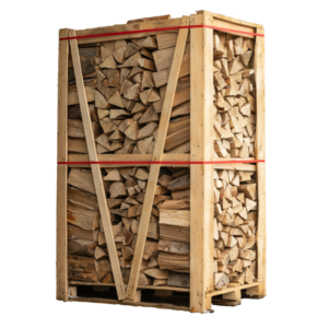 Bois de chauffage de hêtre sur palette 25 cm séché au four – 2 m³