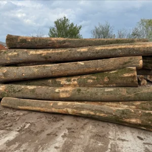 Bois de grume – Frêne